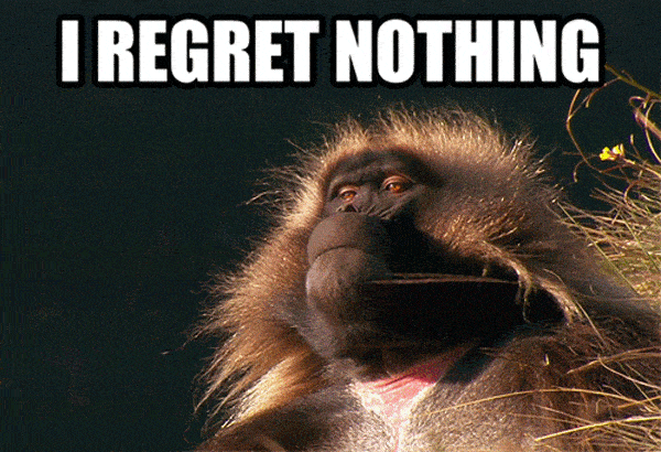 Regret Nothing Monkey