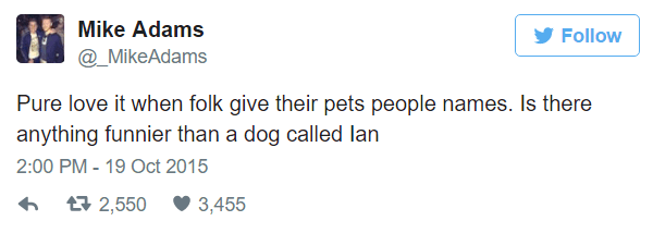 Dogs With Human Names
