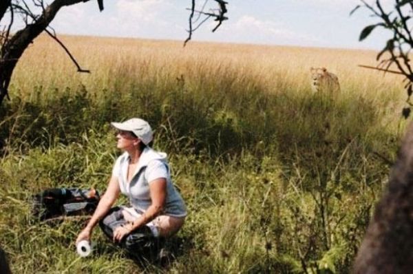 Lion In The Background Photograph