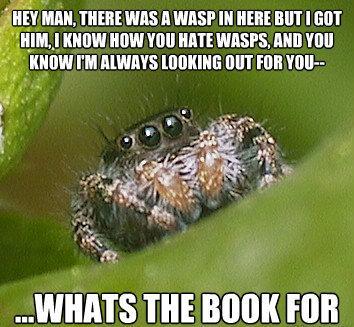 Misunderstood Spider Gets Hit With A Book