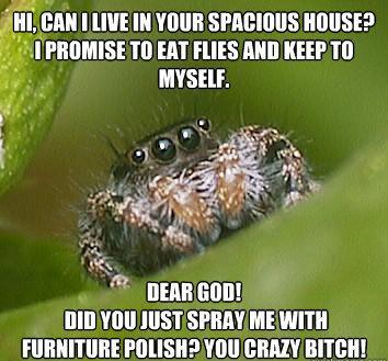 Misunderstood House Spider Furniture Polish