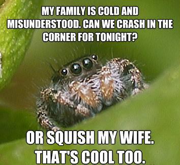 Misunderstood Spider's Wife Gets Squished