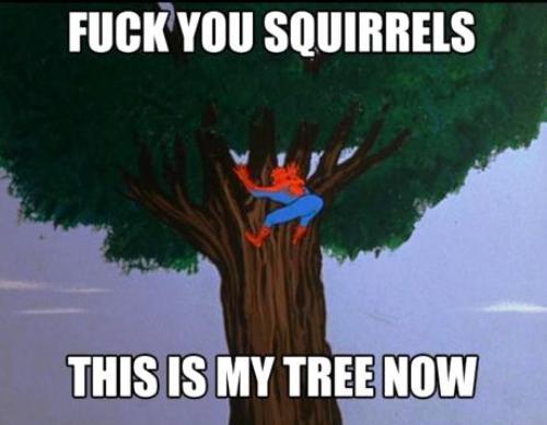 The 1960s Vintage Spiderman Meme Squirrels