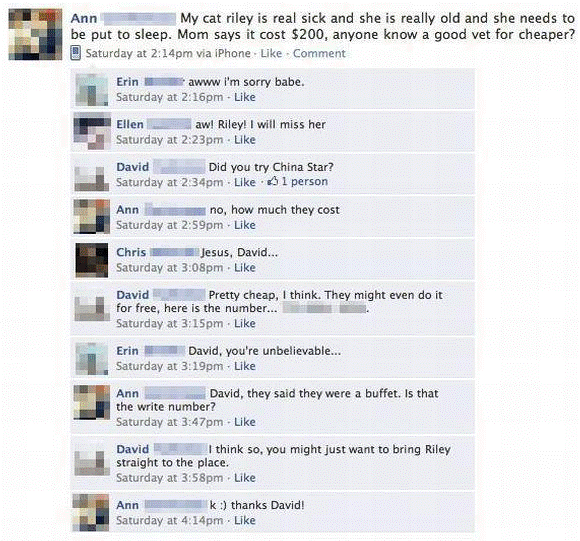 Funniest Facebook Posts Dead Cat