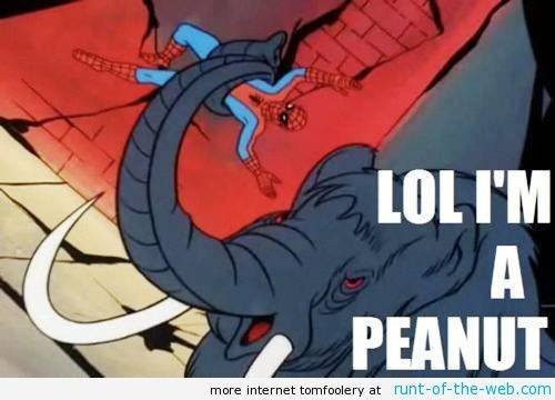 Spider-Man Meme Peanut
