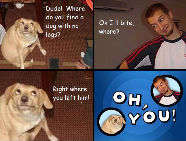 Oh You Meme Dog With No Legs