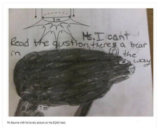 Funny Exam Answers Bear