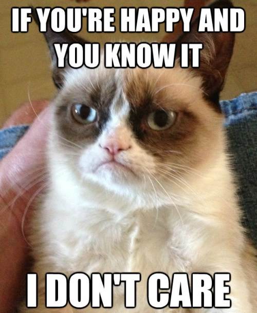 Grumpy Cat Happy And You Know It
