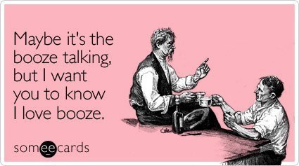 Someecards Drinking I Love Booze