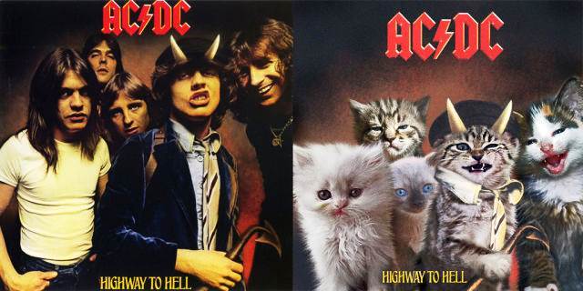 Kitten Inspired Album Art