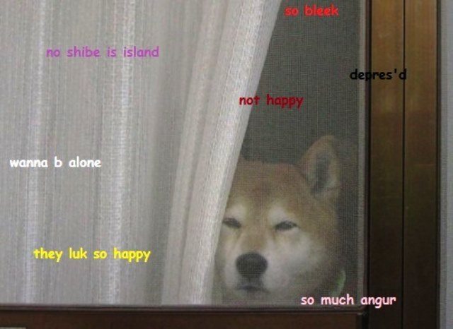 Shiba Inus Memes So Alone