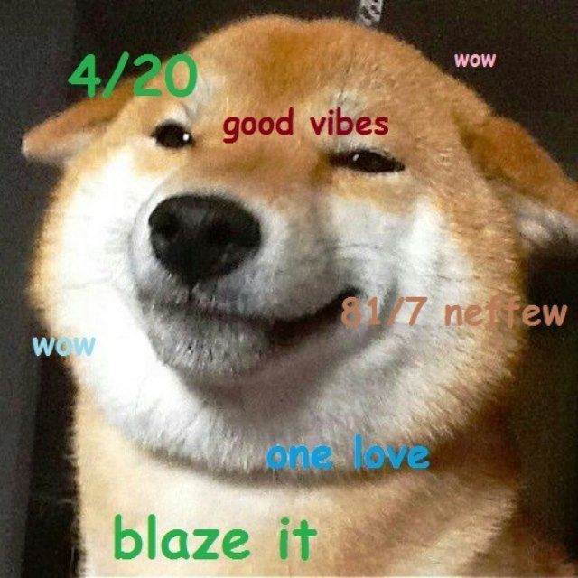 Shiba Meme Blazed