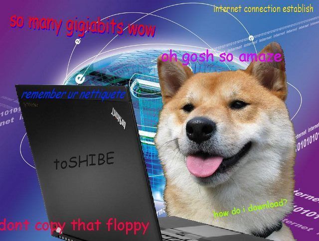 Shiba Confessions On The Internet