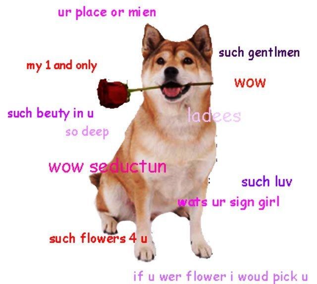 Romantic Shibe Meme