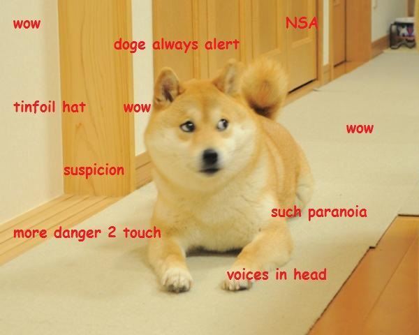 Conspiracy Shiba
