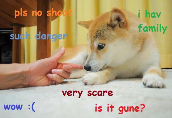Doge Meme No Shot