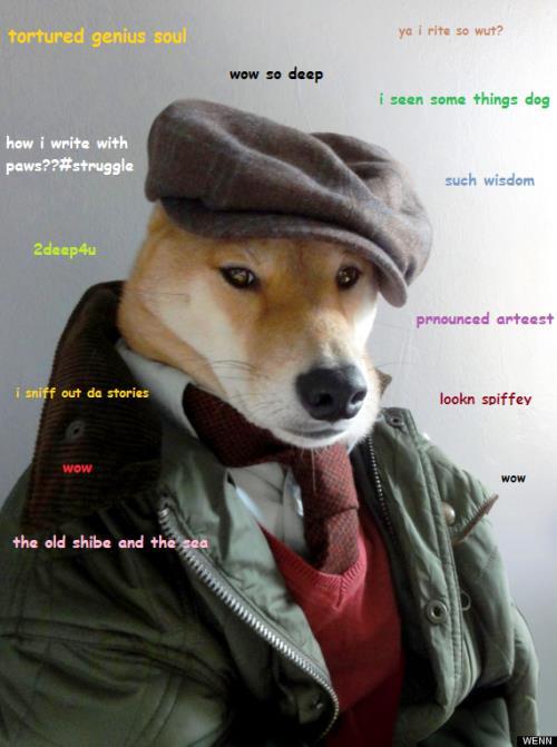 Doge Meme Stylish