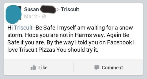 Snow Storm With Triscuits