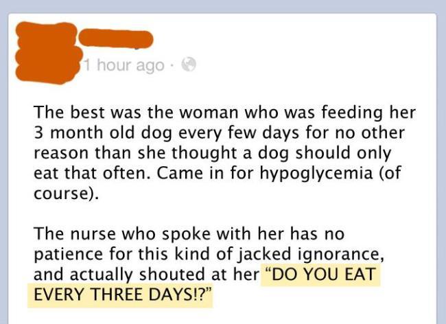 How Often To Feed Your Dog