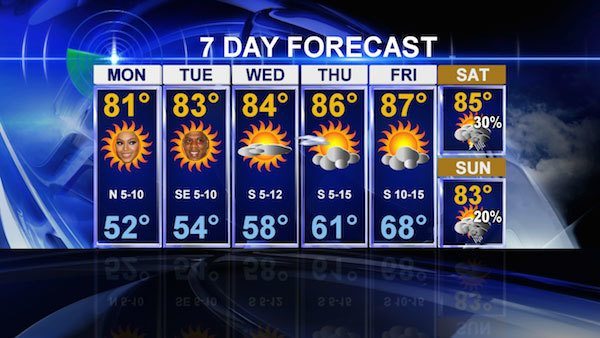 Beyonce and Jay Z Mostly Sunny Dallas