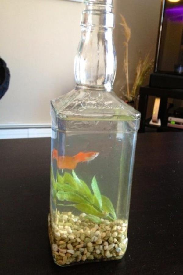 Redneck Inventions Fish Tank