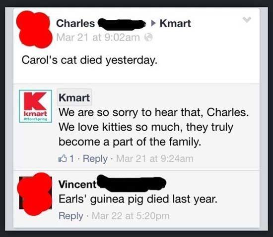 Carols Cat Died