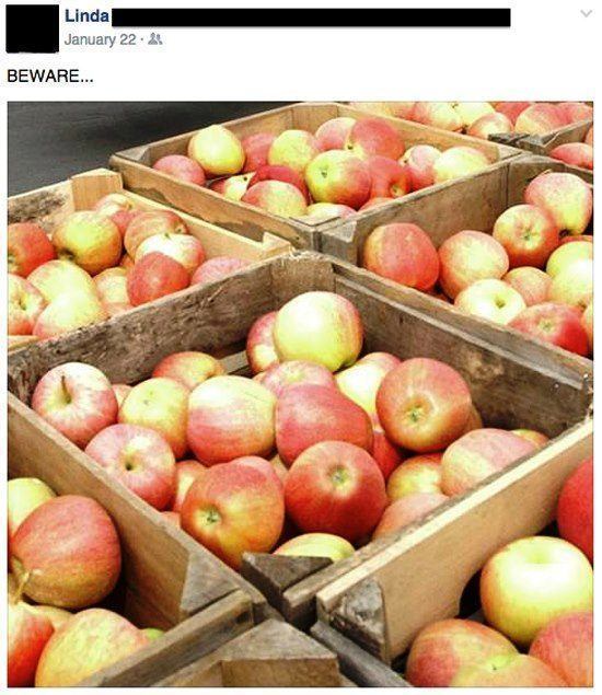 Old People Failing On Facebook Beware