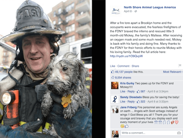 Restore Your Faith In Humanity