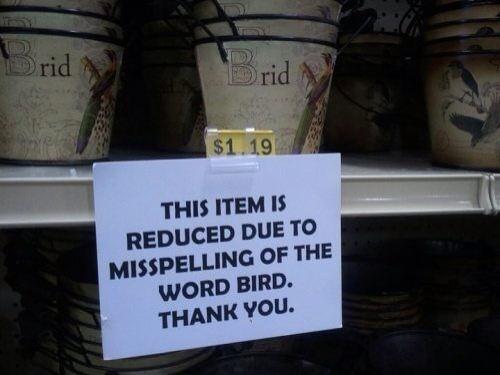 Brid