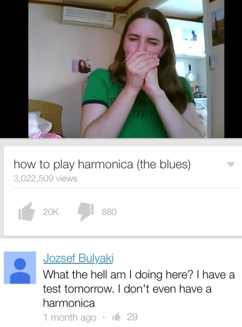 Harmonica Me IRL