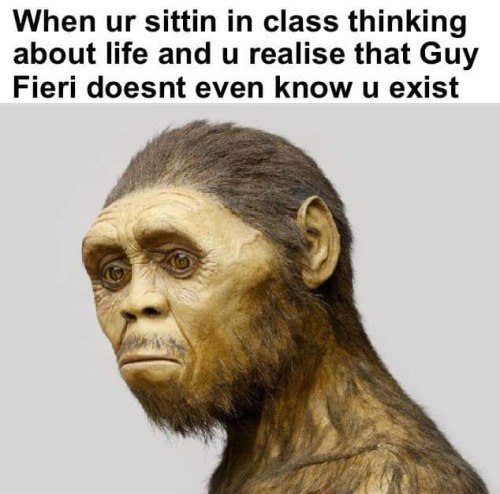 Guy Fieri Doesnt Know You Exist