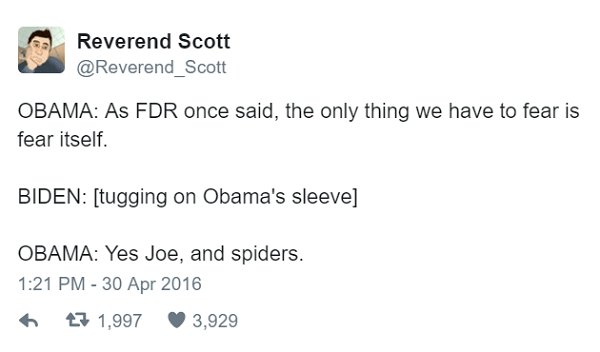 Spiders
