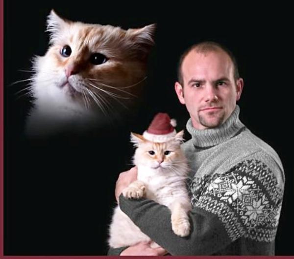 Awkward Christmas Cards Cat Mas