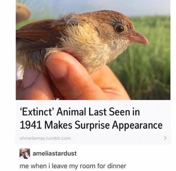 Extinct Animal Appearance