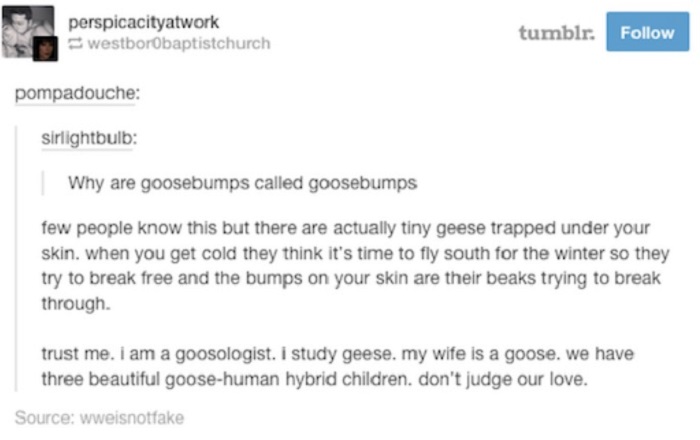 Goosebumps By Goosologist