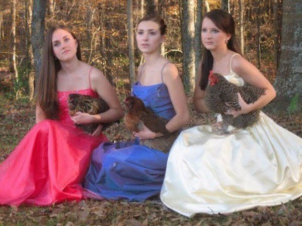 Prom Chickens Hilarious Redneck Photos