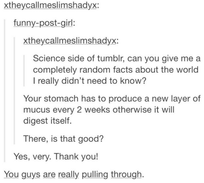 Stomach Self Digestion