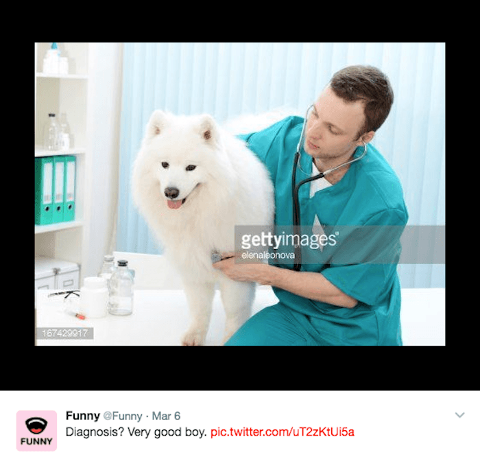 Funny Doggo Memes About Being A Good Boy