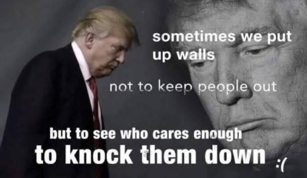 Funny Memes About Donald Trump