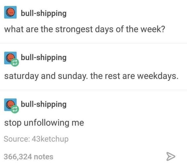 Funniest Tumblr Jokes