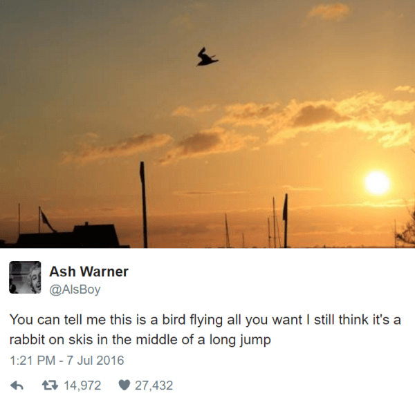 Rabbit On Skis Funny Twitter Jokes