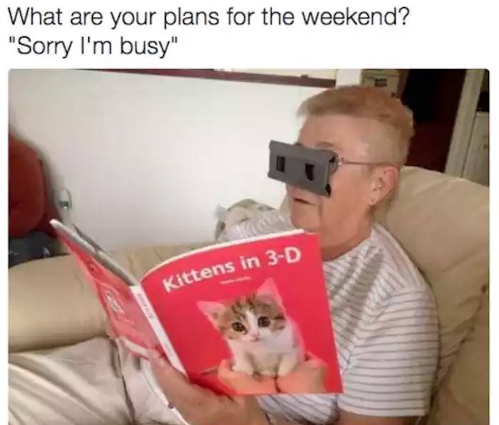 3d Kittens Funny Introvert Memes