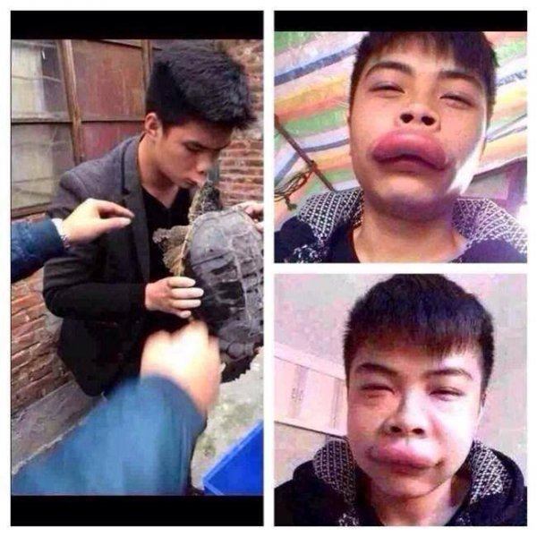 Dfba674988da9ad2fb8becb4d3e17c0f