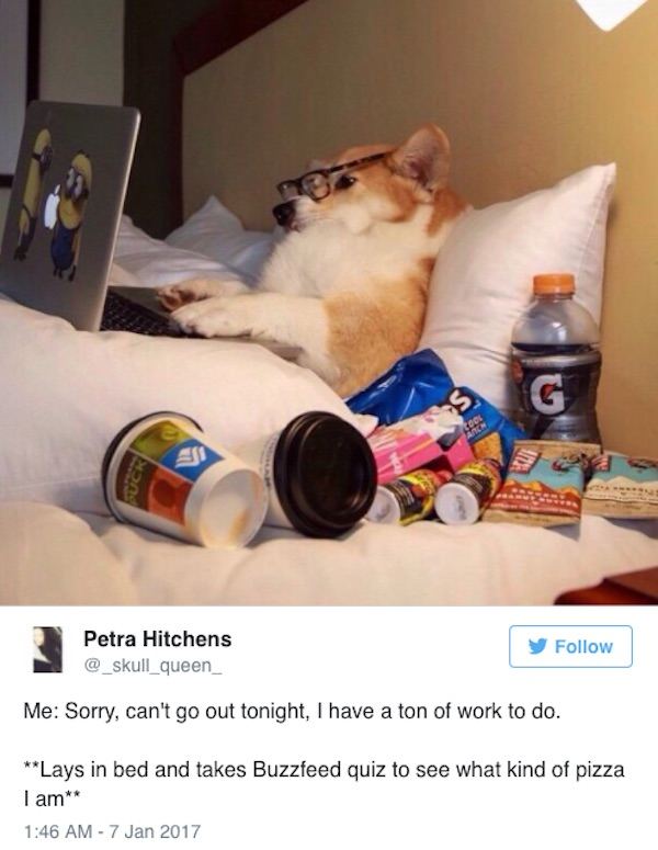 Introvert Memes Buzzfeed Quizzes