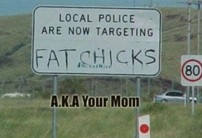 Fat Chicks