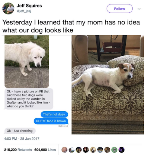 Funny Retweets Confused Mom