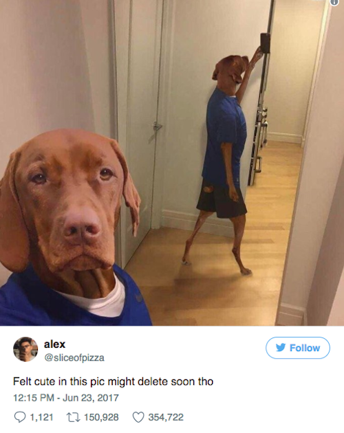 100K Retweets Felt Cute