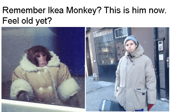 Ikea Monkey