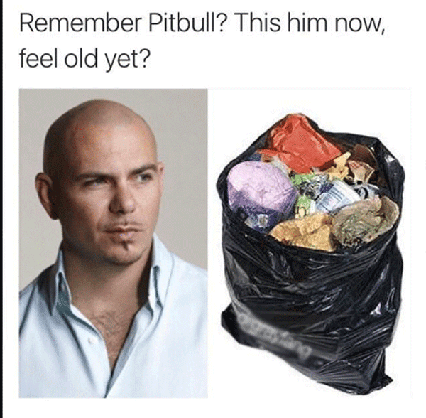 Pitbull