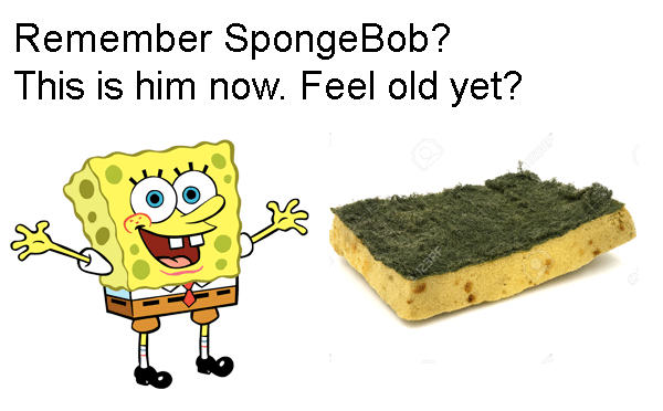 Sponge Bob